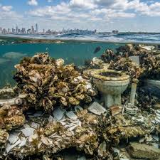 Ponen 5.000 inodoros bajo el océano y, 10 años después, logran recuperar la costa ante el avance del mar