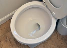 toilet bowls cleaning powder ile ilgili görsel sonucu