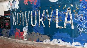 Poliisi iski Vantaan Koivukylän kannabiskauppaan – komisario: ”Pyrittiin isommalla pumpulla iskemään ongelmakohtiin”