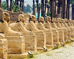 Image of avenue of ramheaded sphinxes leading to the Temple of Mut.