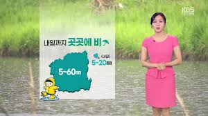 KBS 뉴스 - News update