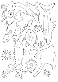 fish coloring pages ile ilgili görsel sonucu