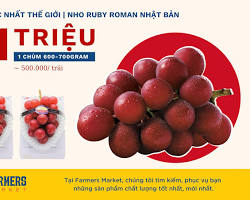 Hình ảnh về Nho Ruby Roman