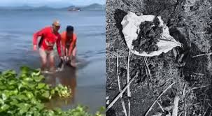 Balita - News update
