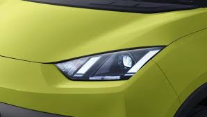 Trend Google: byd