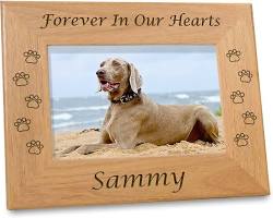 memorial photo frame with a pet's picture and a messageの画像