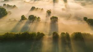 Trend Google: weather