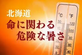 北海道新聞デジタル - News update