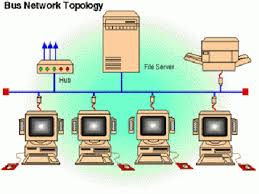 Hasil gambar untuk bus topologi