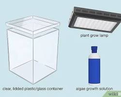 Image of DIY bioluminescent plants