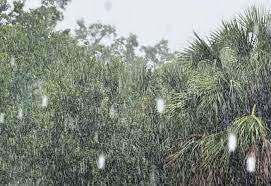 WKMG - News update