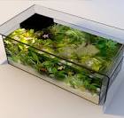 Aquarium Aquatlantis table basse, vente en ligne aquarium