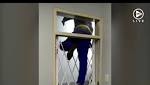 WATCH Agile burglar wiggles over