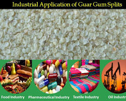 Hình ảnh về Guar gum industrial applications