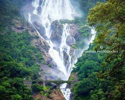 Image of Dudhsagar Falls, Goa (high resolution)
