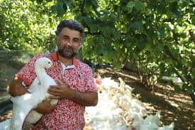 Ordu Büyükşehir Belediyesi - News update