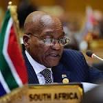 'Zuma like SA's Mugabe' call