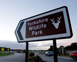 Wildlife park confirms tiger will not be euthanised after man mauled to death — The Guardian