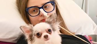 “Pani ogni pomeriggio la va a trovare e si accoccola con lei. In ospedale è presenza indispensabile”, storia di Elisa, dell'amato cagnolino e di una rara malattia genetica