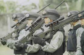 Image result for bravo tni