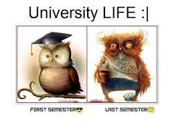 University Life | Funny Pictures, Quotes, Memes, Funny Images ... via Relatably.com