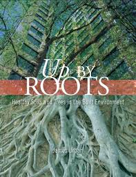 James Urban Soils Workshop March 31 in Orlando, FL | DeepRoot Blog - up%20by%20roots