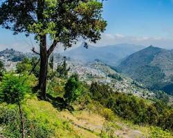 Image of Coaker's Walk, Kodaikanal