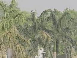 Kanpur’s Climate Paradox: A Rainy Relief That Exposes Deeper Cracks