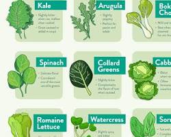 Image of Leafy Green Vegetables