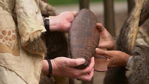 News source: Australian Broadcasting Corporation