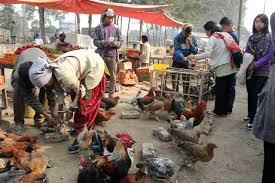Image result for nagaland images