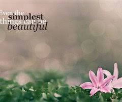 Simplicity Is Beauty Quotes Tumblr - simplicity is beauty quotes ... via Relatably.com