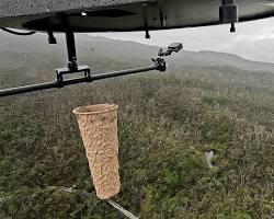 Image of Hawaiian honeycreeper conservation mosquito drone release