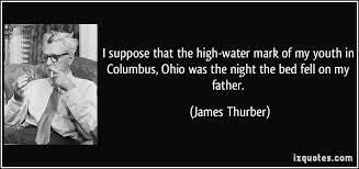 Image result for the night bed fell james thurber