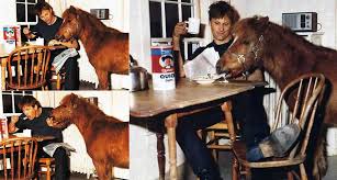 Viggo Mortensen eating oatmeal with a pony. - Imgur