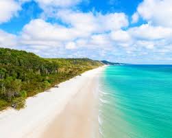 News source: The Guardian