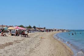 Son Dakika - News update