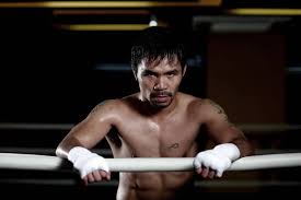 FightBook MMA - News update