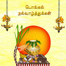 Image result for pongal festival images