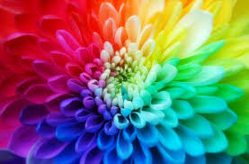 Поздравляем Юрия (kapiteli) - любителя городских прогулок и замечательного фотографа!!!