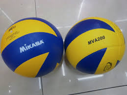 Hasil gambar untuk volly