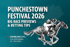 Punchestown Festival 2026: Big race previews & betting tips