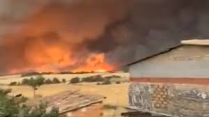 Al Jazeera - News update