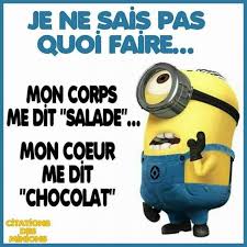 Résultat de recherche d'images pour "citation drole avec les minion"