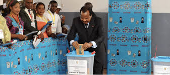 Cameroon: Election Concerns, Brucellosis Identification, and Football Tournament Absence