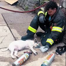 Respect firefighter | Facebook