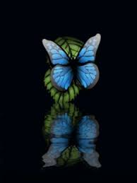 Image result for animated butterflies wallpaper