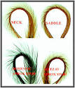 Fly Tying Hackle eBay