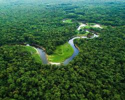 Imagem de Floresta Amazônica, Brasil