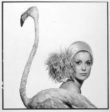 Catherine Deneuve: French finesse deneuve by david bailey-january ... - deneuve-by-david-bailey-january-1968